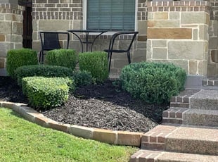 Weeding by Severa Rosie Lara for Laura F. in Euless, TX