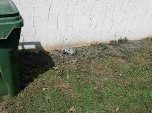 Cleanups by Gregg Hickerson for Ahmed E. in Roseville, MN