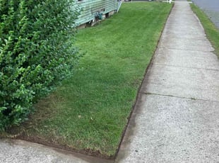 Beth B.'s Lawn Maintenance service result
