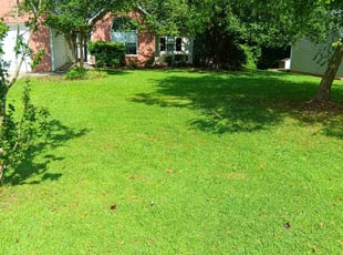 Samantha B.'s Lawn Care service result