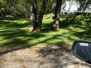 Vernona B.'s Grass Cutting service result