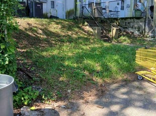 Cleanups by Gerrod Melvin for Vicky A. in Baltimore, MD