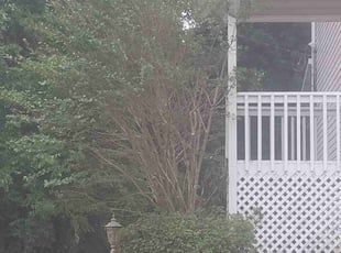 Weeding by Nathan Christiansen for Ramona M. in Ooltewah, TN