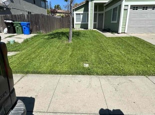 Raymond T.'s Lawn Service service result
