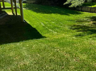 Jason P.'s Lawn Care service result