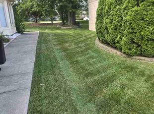 Tomika F.'s Lawn Mowing service result