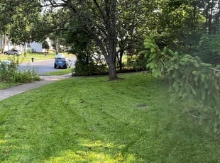 Kerrie M.'s Lawn Care service result