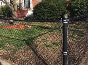 Leaf Removal by Sergio Jiménez for Shirley P. in Boston, MA