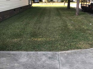 Michael W.'s Yard Cutting service result