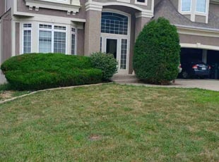 Bush Trimming by Howard Robinson for Joy V. in Lee's Summit, MO