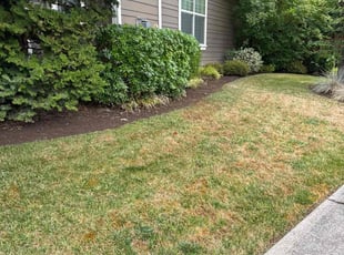 Weeding by Robert Norton for Adam B. in Camas, WA