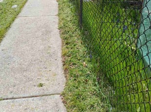 James B.'s Lawn Mowing service result