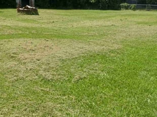 Shirley G.'s Lawn Care service result