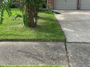 Ronald D.'s Lawn Maintenance service result