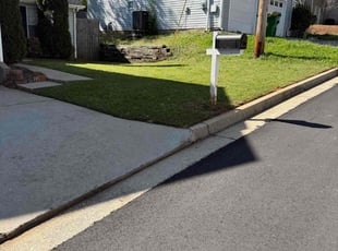 Shane T.'s Yard Cutting service result
