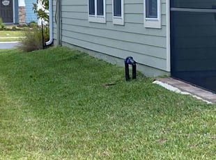 Jeorge C.'s Lawn Mowing service result