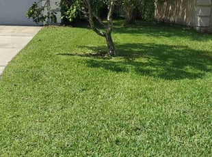 Saturn Y.'s Lawn Service service result