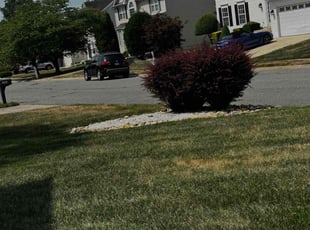 Weeding by Carlos Portillo for Michelle A. in Waldorf, MD
