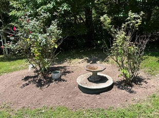 Bush Trimming by Timothy Tisinger for Chris L. in Front Royal, VA