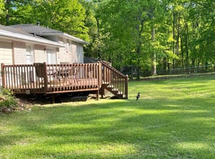 David P.'s Lawn Service service result