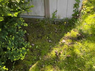 Leaf Removal by Rick Cossart for Michael B. in Albany, NY