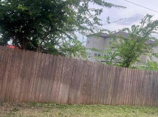 Cleanups by Keanu Reed for Muralikrishna D. in Houston, TX