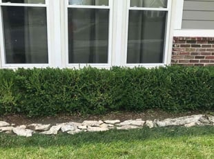 Bush Trimming by Juan Contreras for Preston T. in Shawnee, KS