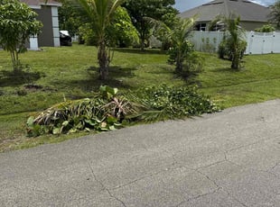 Bush Trimming by Arthur Grant for Laurie K. in Port St. Lucie, FL