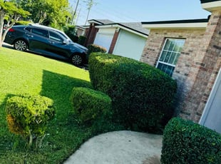 Bush Trimming by Delson Auguste for Natacha R. in Jacksonville, FL