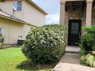 Bush Trimming by Bryant Infante Baez for Francisca M. in Hutto, TX