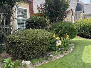 Bush Trimming by Guillermo Domenech for Fred E. in Roswell, GA
