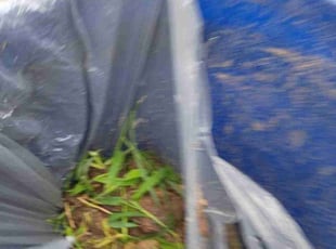 Cleanups by Frank Koller for Manda P. in Indianapolis, IN