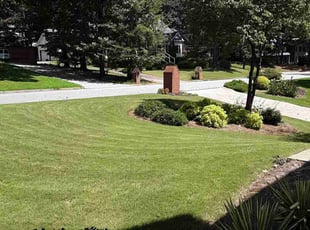 Cameron B.'s Lawn Care service result