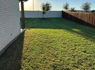 Sparkle W.'s Lawn Service service result