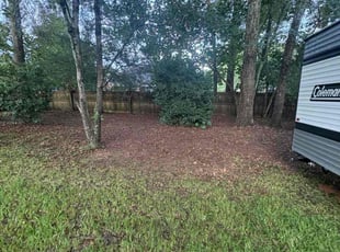 Leaf Removal by Zach Wells for Kyle P. in Tallahassee, FL
