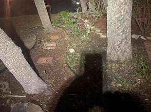 Cleanups by Brian Ford for Christopher I. in San Antonio, TX