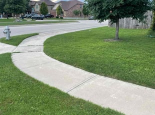 Paula K.'s Lawn Mowing Service service result