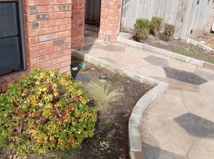 Bush Trimming by Alan Stone for Chris L. in Carrollton, TX