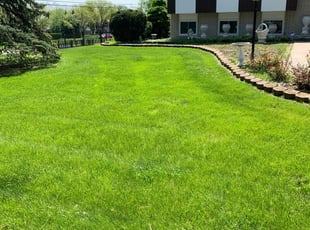 Kathleen K.'s Grass Cutting service result