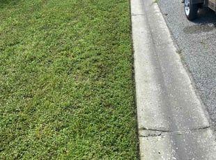 Milca S.'s Grass Cutting service result