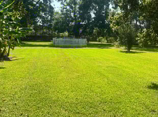 Shirlane S.'s Yard Cutting service result