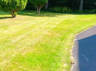 Victoria W.'s Lawn Care service result
