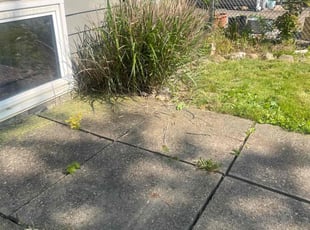 Leaf Removal by Doug Taylor for Joanne D. in North Ridgeville, OH