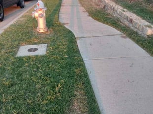 Bush Trimming by Jamie Valencia for Josh W. in McKinney, TX