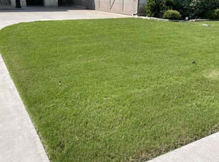 Kevin H.'s Grass Cutting service result