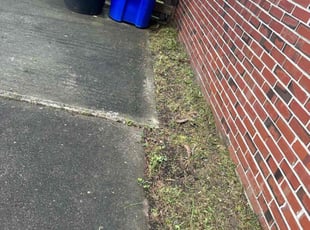 Weeding by Justin Norris for John C. in Portsmouth, VA