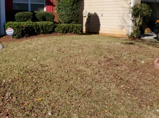 Bush Trimming by Thomas Knight for Ayobami C. in Lawrenceville, GA