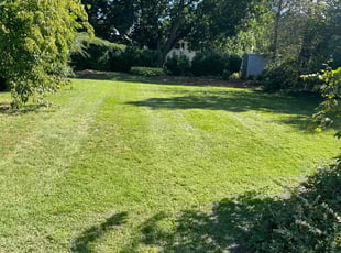 Arthur T.'s Lawn Service service result