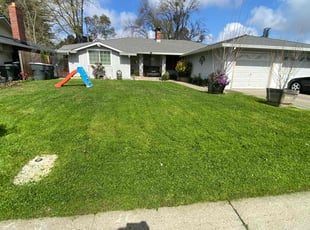 David P.'s Lawn Service service result