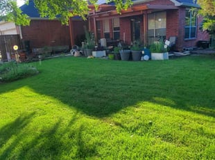 Bodie P.'s Grass Cutting service result